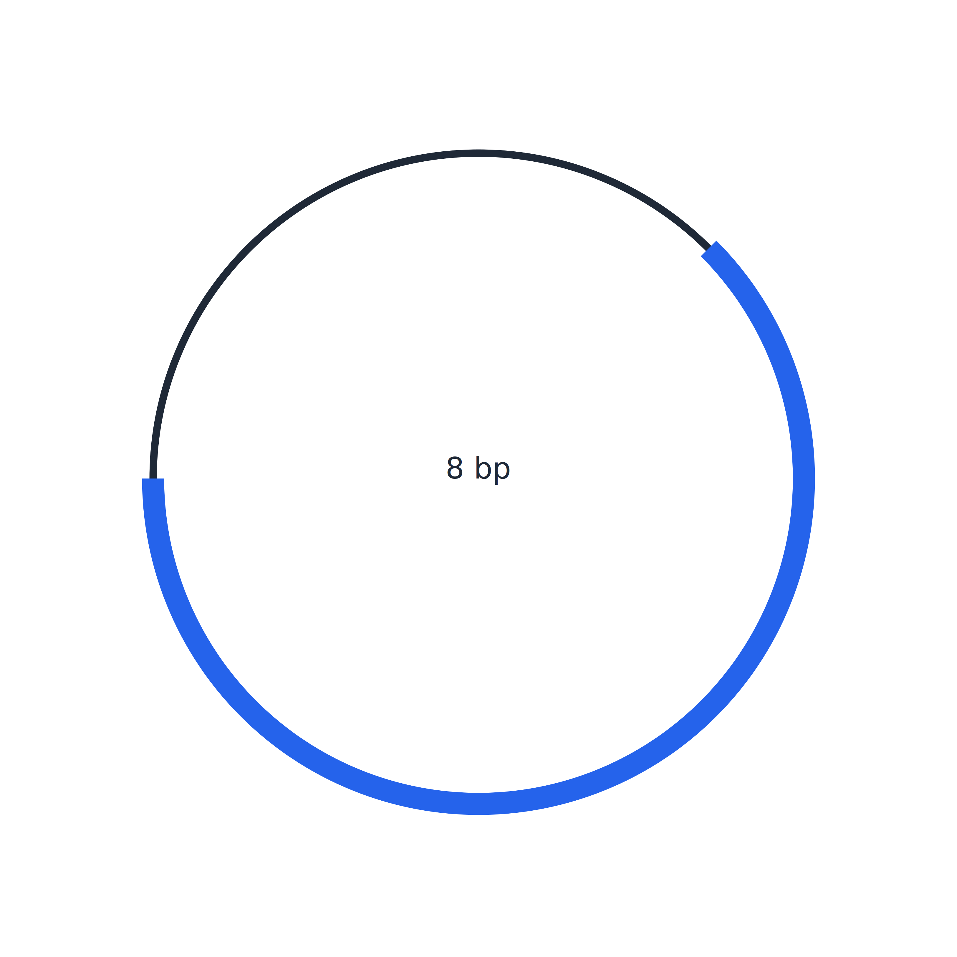 Circular DNA diagram example