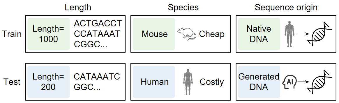 Examples of train-test distribution shifts in sequence length, species, and sequence origin