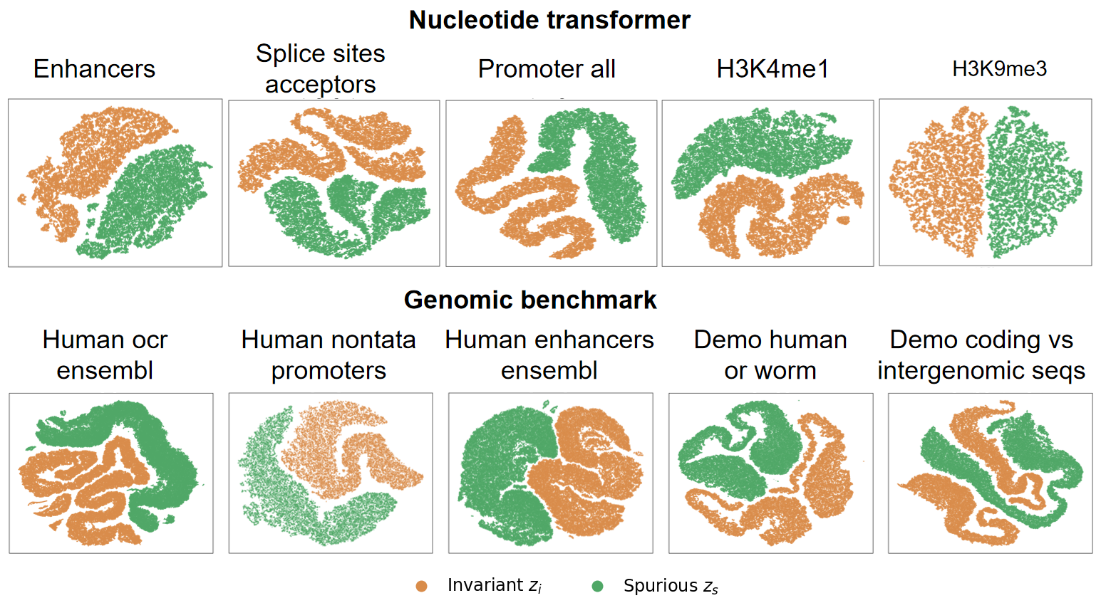 t-SNE plots of invariant and spurious representations across genomic tasks